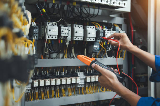 Best Electrical System Inspection  in Allegan, MI