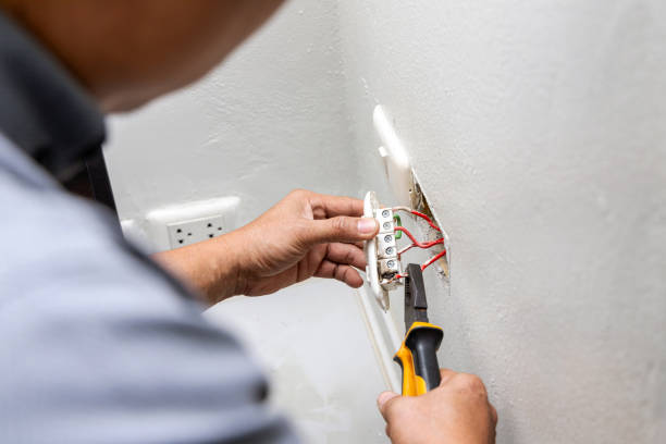 Best Electrical Upgrades for Homes  in Allegan, MI